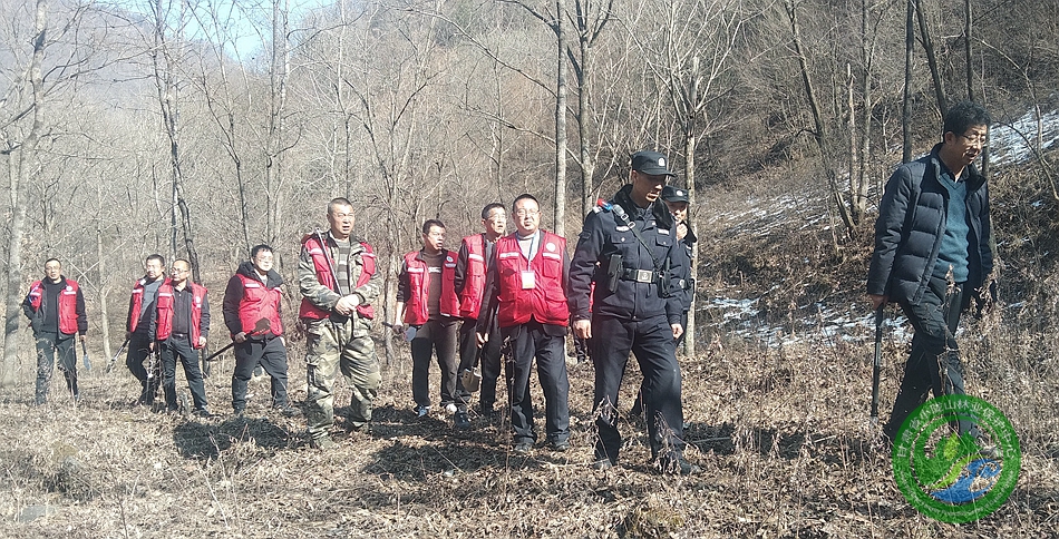 双鸭山林业局三岔河林场最新资讯动态